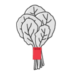 illustration of leafy greens bunched by a red produce tag.