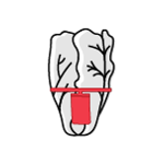 A red hang tag on an elastomer loop attached to illustrated romaine lettuce.