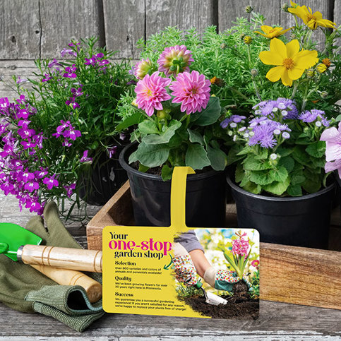 Crate with potted purple, pink, and yellow flowers and a yellow "one-stop garden shop" plant stake shelf talker. Gardening gloves and tools in foreground.