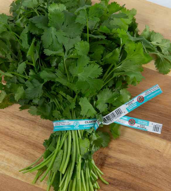 A teal, Little Bear brand, organic produce twist tie bundles a batch of cilantro.