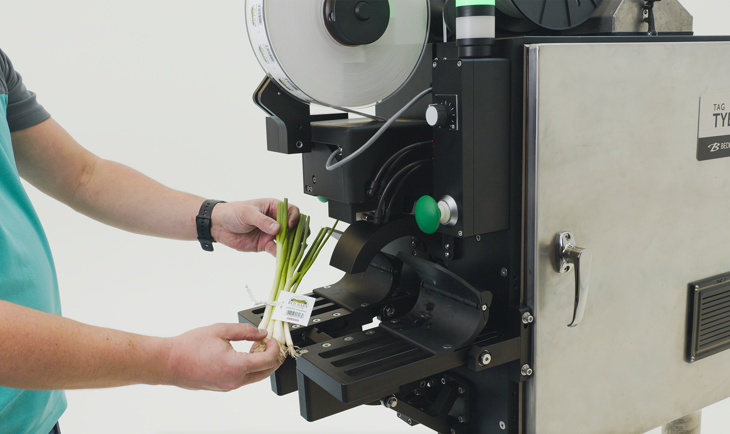Bedford Produce Automation Now Available for Green Onions