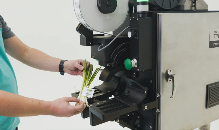 Bedford Produce Automation Now Available for Green Onions