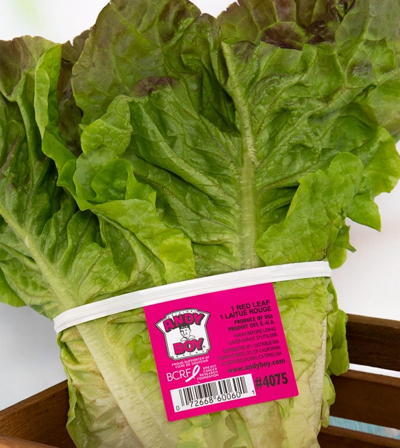 A hot pink fresh produce tag with barcode labeling and bunching a head of Andy Boy brand red leaf lettuce.