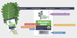 A graphic showing a tag on a bunch of kale with callouts highlighting the tag's features: company logo/branding, commodity type, country of origin, PLU, organic labeling, and UPC barcode.