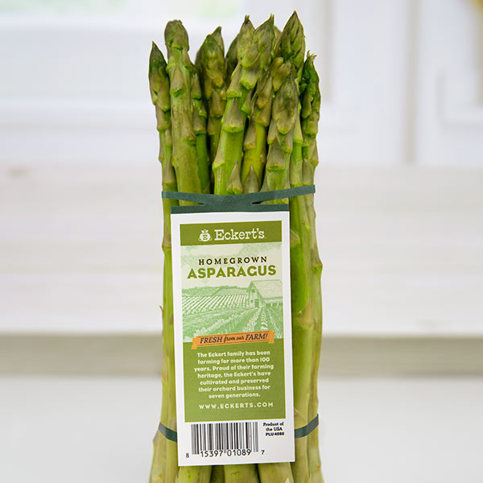 A bunch of fresh, green asparagus spears bunched together with an elastic tag label that says "Eckert's HOMEGROWN ASPARAGUS" and other product information.
