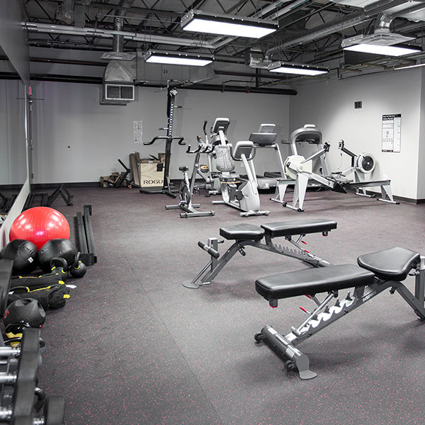 A small gym with cardio equipment, dumbbells, and benches.