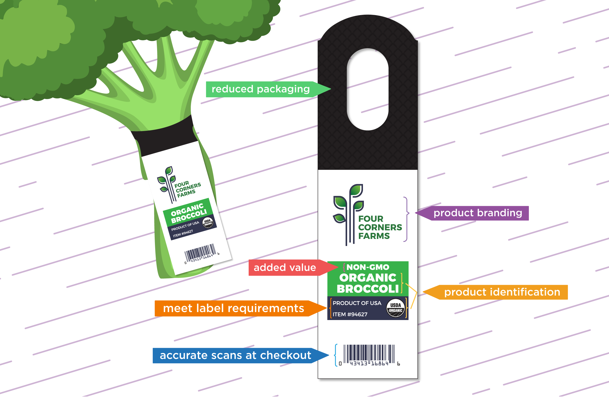 Etag Broccoli-01